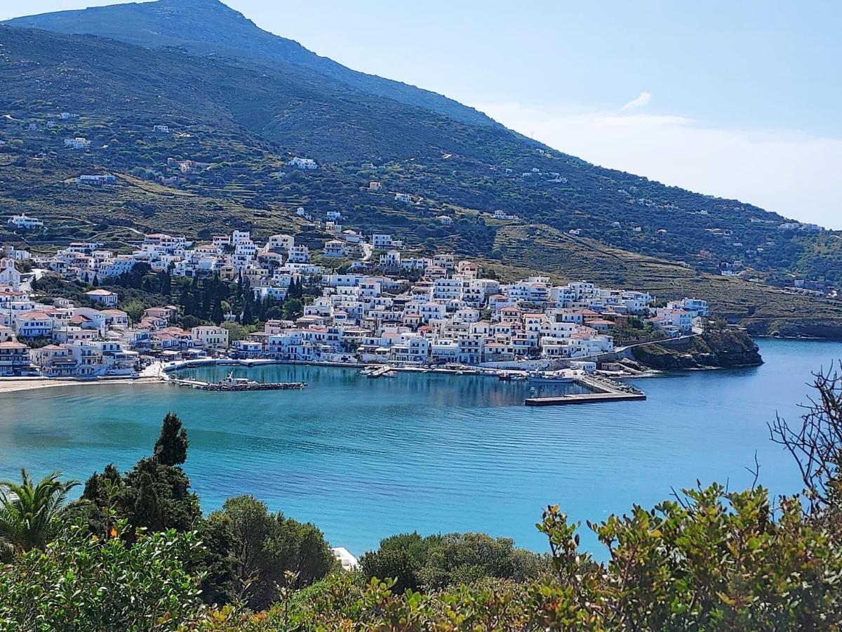 Villa Arni Andros - Βίλα Αρνη Batsíon Eksteriør bilde