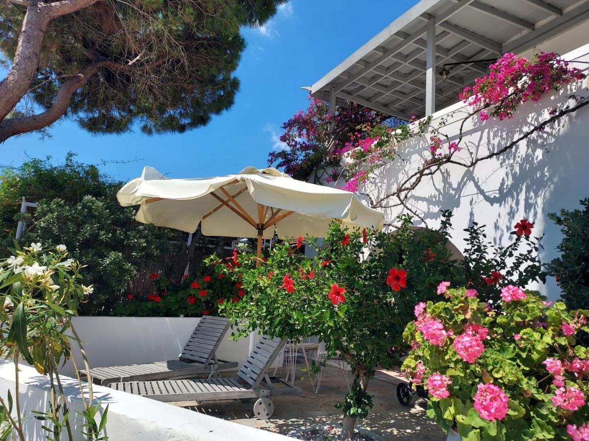Villa Arni Andros - Βίλα Αρνη Batsíon Eksteriør bilde