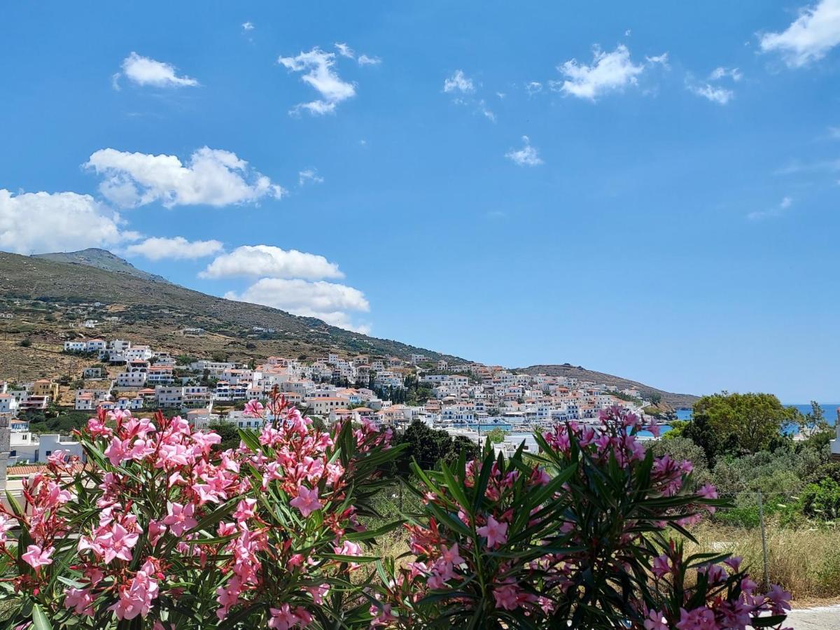 Villa Arni Andros - Βίλα Αρνη Batsíon Eksteriør bilde