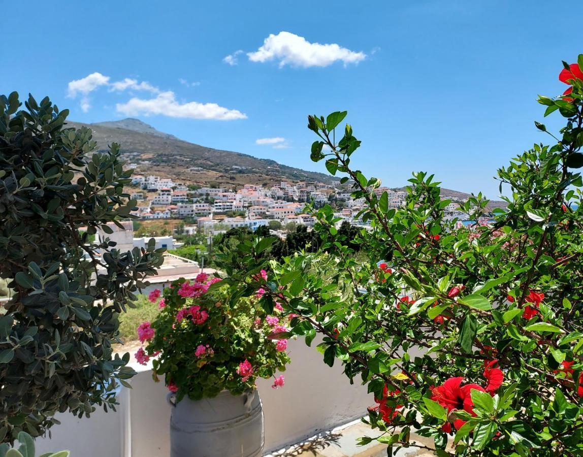 Villa Arni Andros - Βίλα Αρνη Batsíon Eksteriør bilde