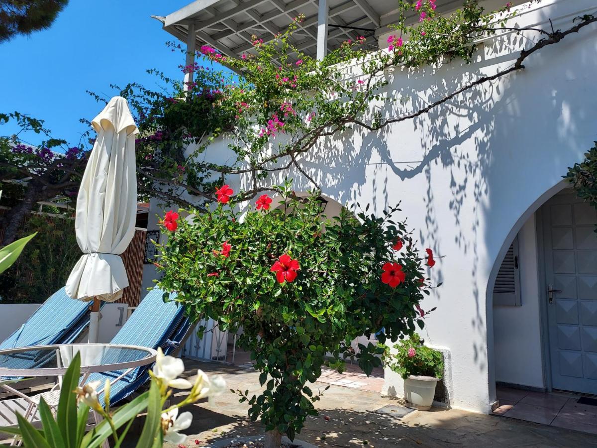 Villa Arni Andros - Βίλα Αρνη Batsíon Eksteriør bilde