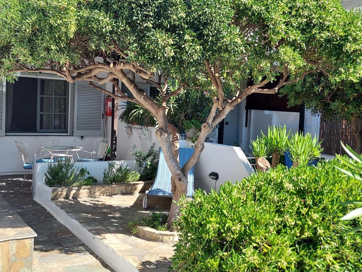 Villa Arni Andros - Βίλα Αρνη Batsíon Eksteriør bilde