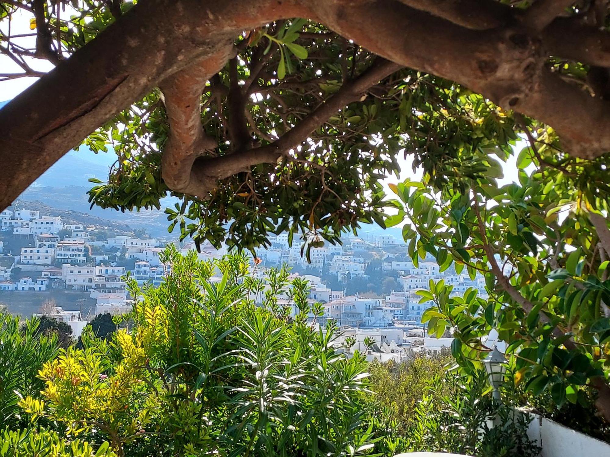 Villa Arni Andros - Βίλα Αρνη Batsíon Rom bilde