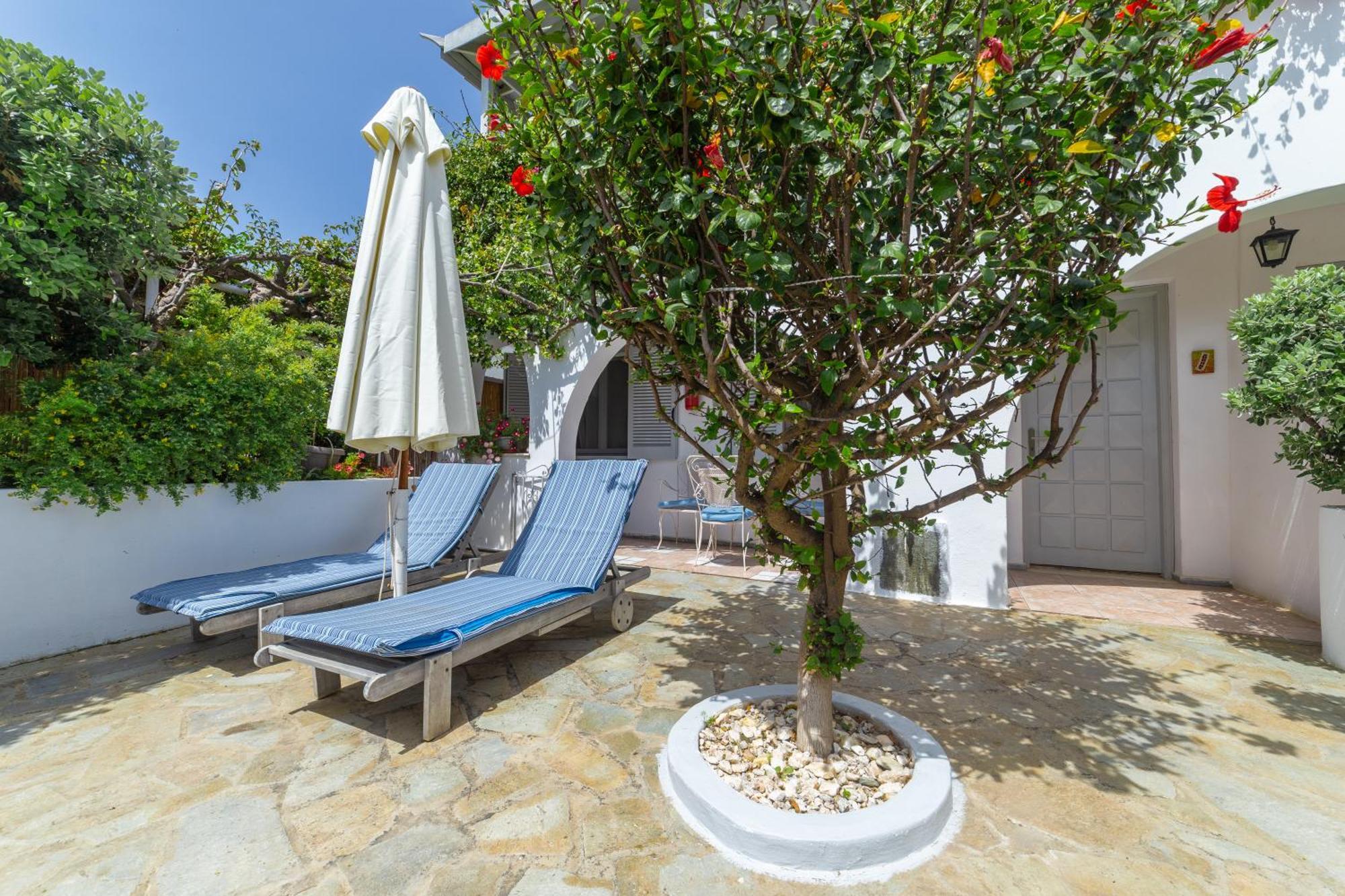 Villa Arni Andros - Βίλα Αρνη Batsíon Eksteriør bilde
