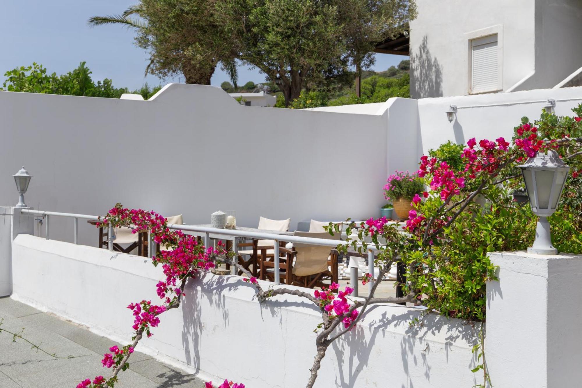 Villa Arni Andros - Βίλα Αρνη Batsíon Eksteriør bilde