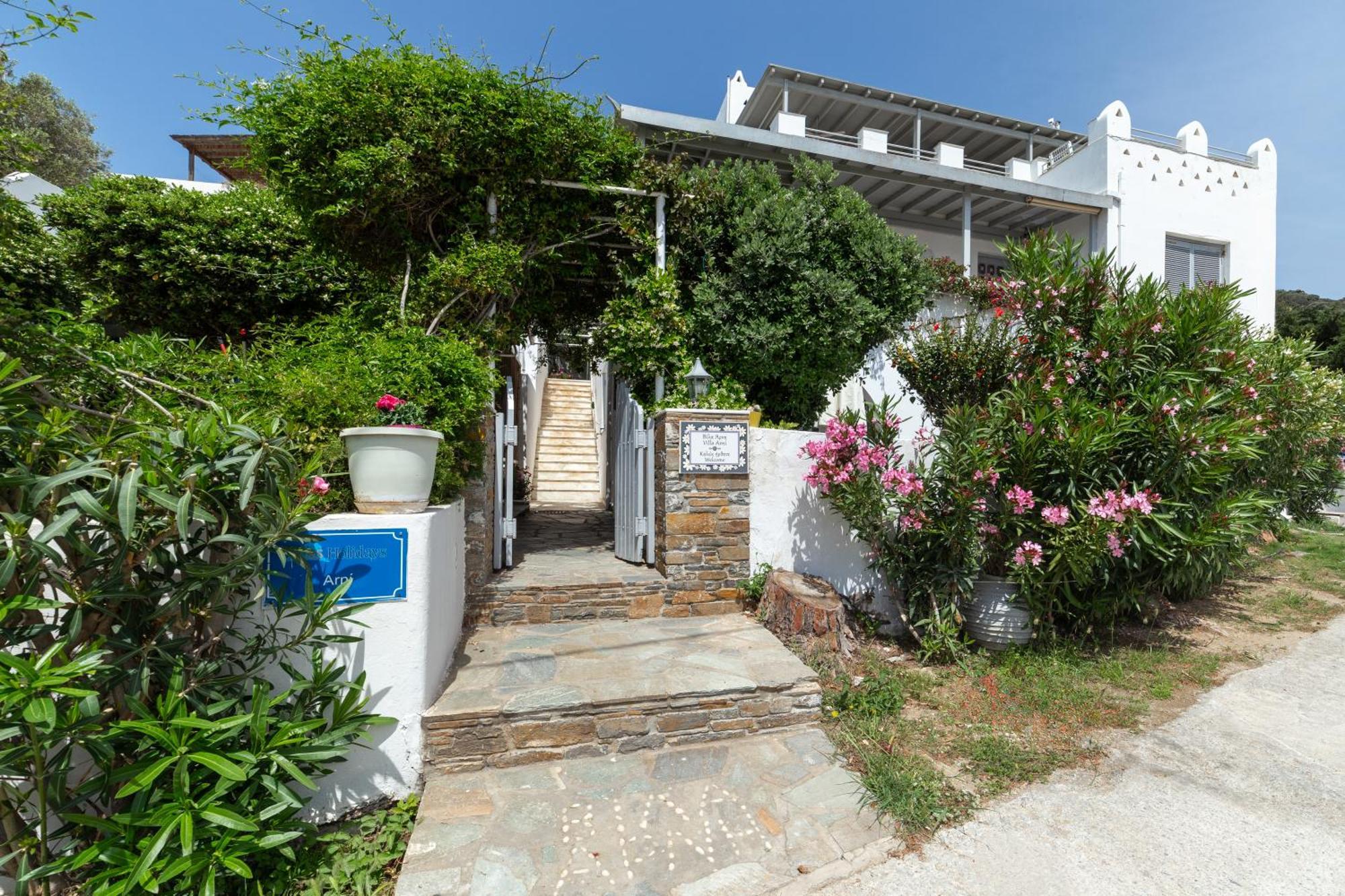 Villa Arni Andros - Βίλα Αρνη Batsíon Eksteriør bilde