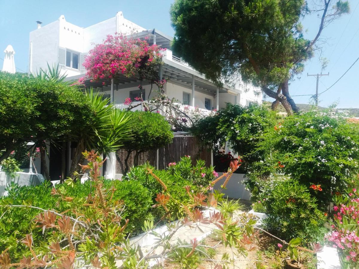 Villa Arni Andros - Βίλα Αρνη Batsíon Eksteriør bilde